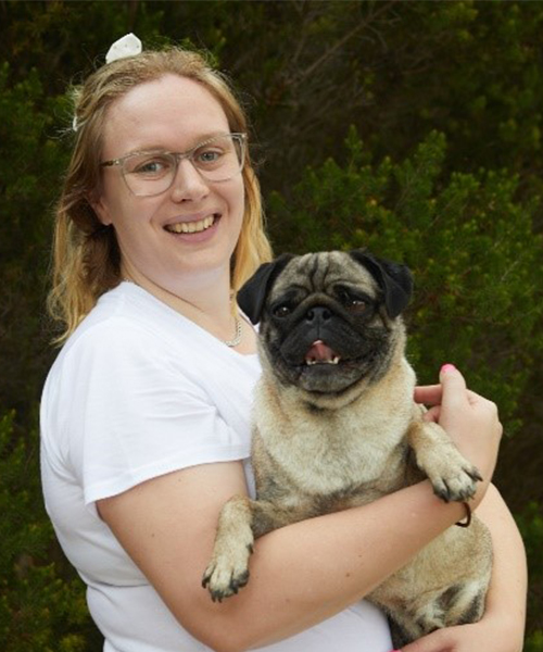 Vet nurse holding a Pug